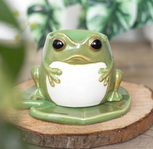 Frog Shaped Wax Burner With Lily Pad  image 0