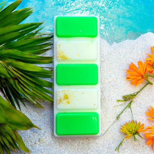 B Delicious Wax Melt Snap Bar image 0