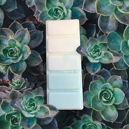 1881 Wax Melt Snap Bar  image 0